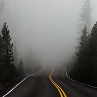 fog on road