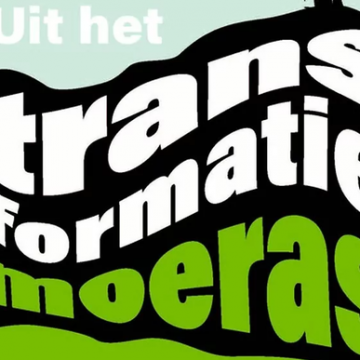 Book review: ‘Uit het transformatiemoeras’ (in Dutch)
