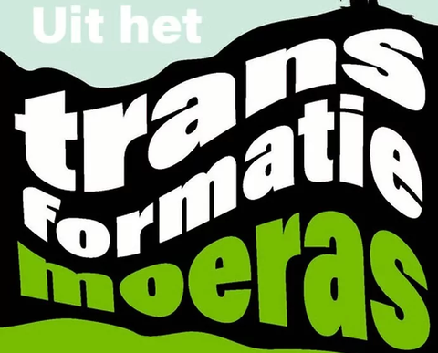 Uit het transformatiemoeras