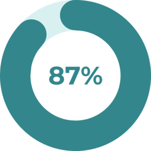 Succespercentage cirkelgrafiek met 87%